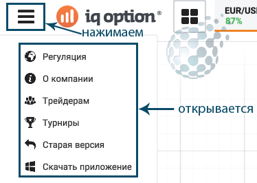 Возможности личного кабинета IQ Option